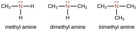 Amine Structure