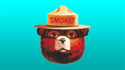 Smokey Bear Turns 74! Look Back at the Icon’s Historic Print Ads ...