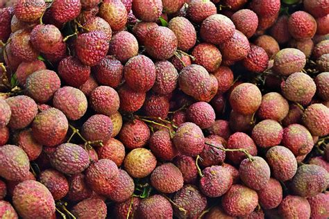 Litchi (Lychee) Season in India 2018 – Rove.me