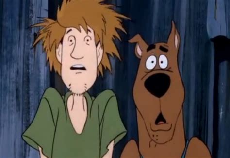 Scooby-Doo and Shaggy - Scooby-Doo and Shaggy Photo (37966640) - Fanpop