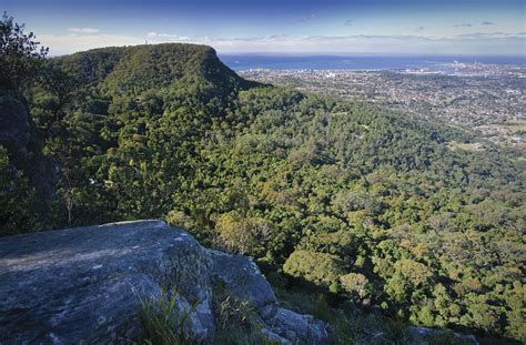 Accessible adventures in NSW national parks | Blog - NSW National Parks