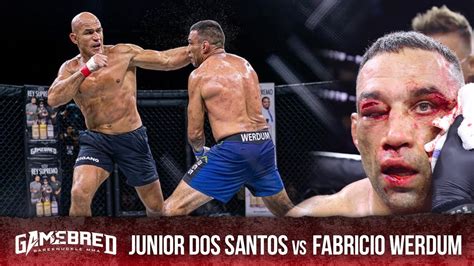 JUNIOR DOS SANTOS DEFEATS FABRICIO WERDUM BY SPLIT DECISION IN ...