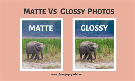 Matte Vs Glossy Photos – Which is Best For You? - PhotographyAxis