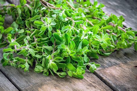 13 Fresh Herbs and How to Use Them | Epicurious