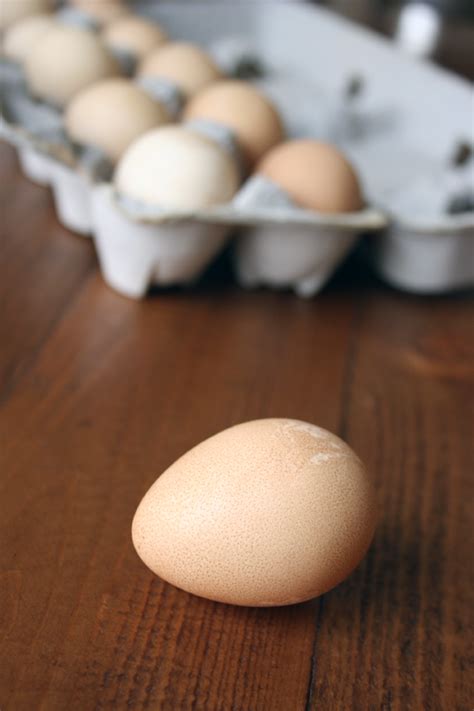 What Do Guinea Fowl Eggs Taste Like? | POPSUGAR Food