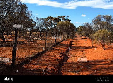 Rabbit Proof Fence, North East Western Australia Stock Photo - Alamy