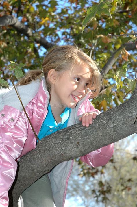 Hiding Spot stock photo. Image of ancient, climbing, green - 1631082