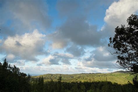 Pupukea-Paumalu Forest Reserve Photograph by David L Moore - Fine Art ...