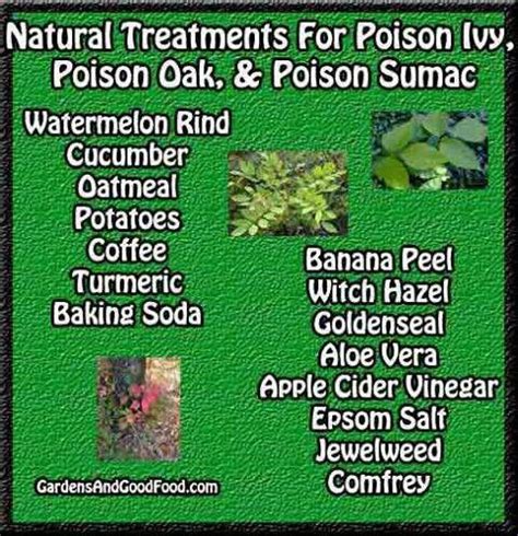 Poison ivey , oak & sumac treatments | Natural treatments, Poison ivy ...