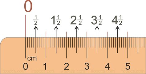 Metric Printable Ruler