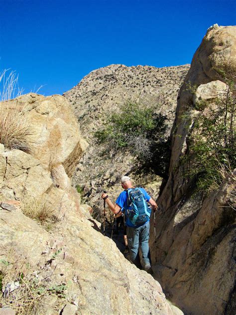 Outdoor Adventures at Catalina State Park, Arizona - Time.Travel.Trek.