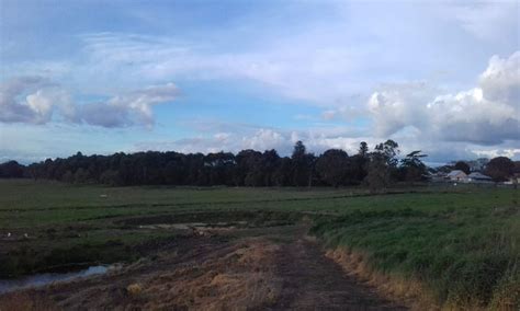 Terang Community Park And Wetlands - Foley St, Terang VIC 3264, Australia