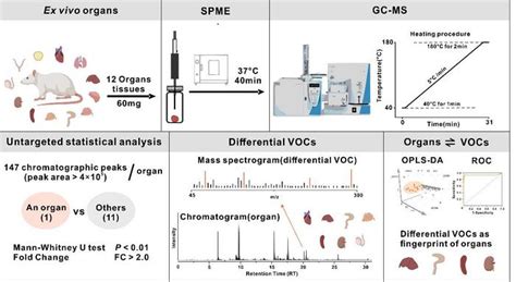 Advanced GC-MS Detection Enabl [IMAGE] | EurekAlert! Science News Releases