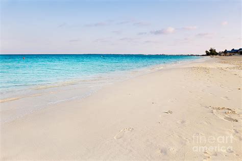 Seven Mile Beach Photograph by Jo Ann Snover - Fine Art America