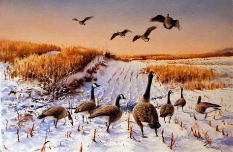 Waterfowl Paintings by Jim Killen a Waterfowl and Hunting dog artist