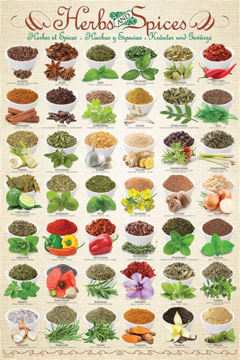 Herbs & Spices - Athena Posters