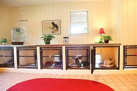 cat kennels for boarding | Cat Boarding. Love this. Just make them ...