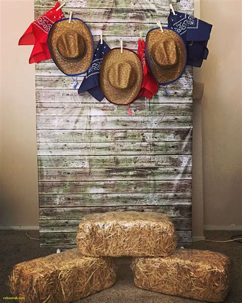 DIY backdrop out of a clothes rack and clamps | Cowboy theme party ...