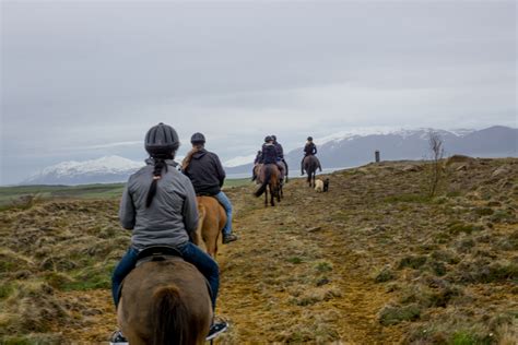 The Icelandic Horse Riding Experience — the snobby foodie