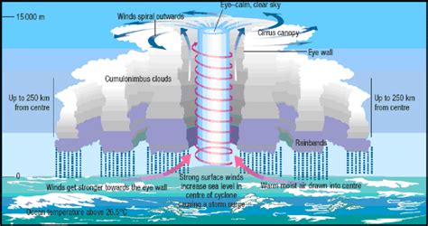 Tropical Cyclone Formation Diagram