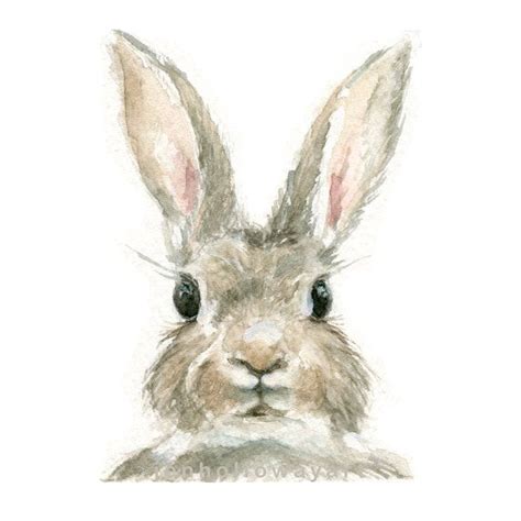 Watercolor Rabbit, Rabbit Print, Bunny Print, Animal Print, Rabbit ...