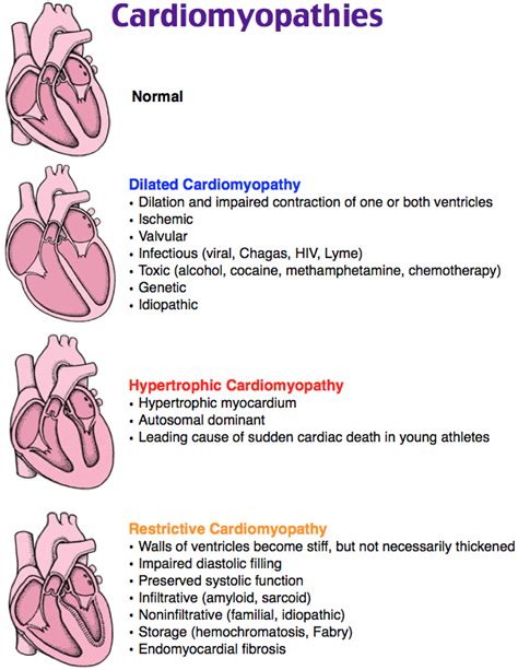 Rosh Review | Cardiology nursing, Nurse, Cardiac nursing