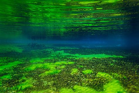 Blue Lake, Nelson, New Zealand - The Clearest Lake in the World ...