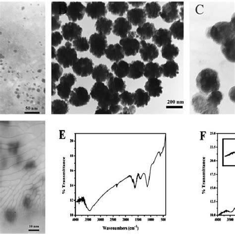 TEM images of GQDs (A), Fe 3 O 4 (B), Fe 3 O 4 @GQDs (C) and ...