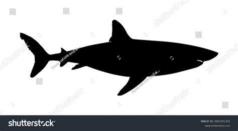 Great White Shark Vector Silhouette Illustration Stock Vector (Royalty ...