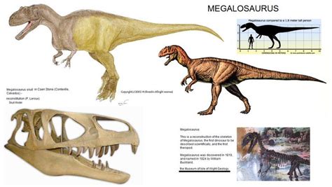 an image of some dinosaurs that are in the same place on this page ...