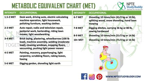 Metabolic Equivalent Chart for Nursing and Physical Therapy