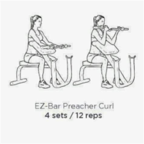 Ez Bar Preacher Curl by Caroline Wambani - Exercise How-to - Skimble