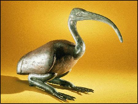 The Sacred Ibis of Ancient Egypt - HistoryWiz