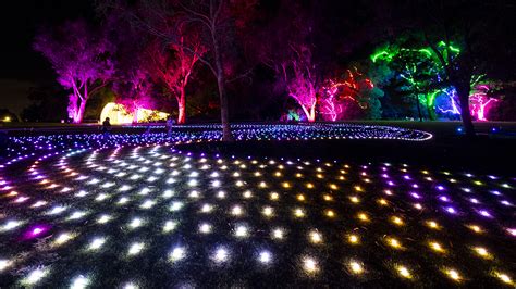 Review: Lightscape at Kings Park and Botanic Garden – X-Press Magazine ...