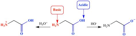 Illustrated Glossary of Organic Chemistry - Amphoteric (amphiprotic)