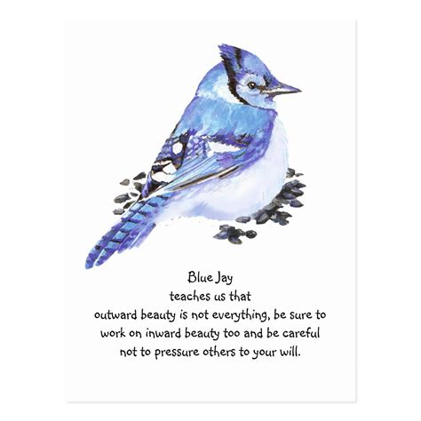 Animal Totem Blue Jay Inspirational Nature Guide Postcard | Zazzle ...