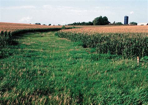 Grass Waterway - A SEARCH HISTORY