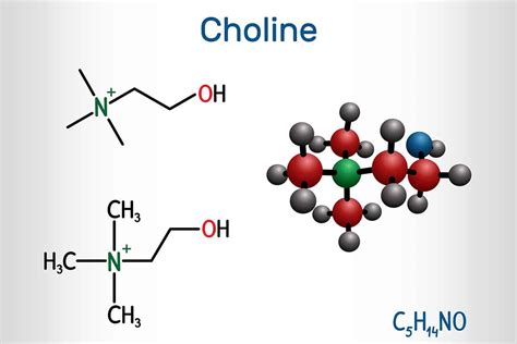 Choline: An Essential Nutrient With Important Benefits - Nutrition Advance