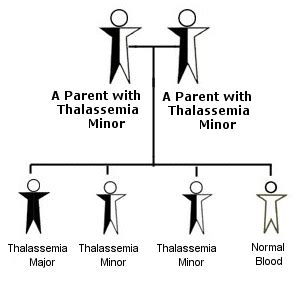 Disease & Treatment « Thalassemia