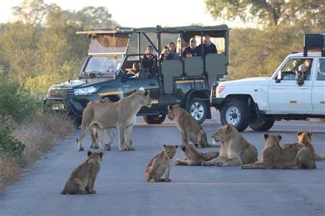 3-Day Kruger National Park Safari from Johannesburg 2024