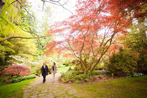 VIU’s Milner Gardens Marks 20 Years as a Public Garden | News ...