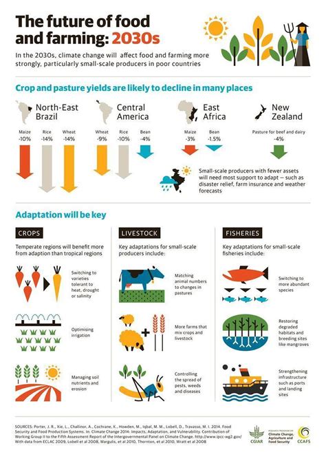 Climate Change, the Future of Farming, and Moringa - Kuli Kuli Foods