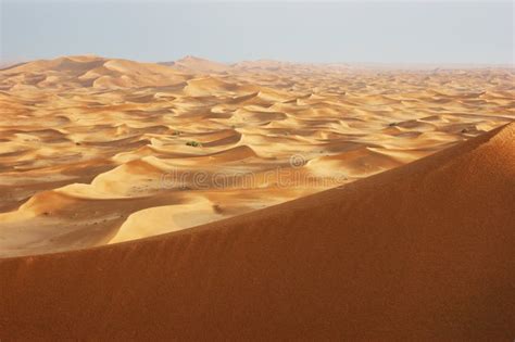 Sand Dunes of the Arabian Desert Stock Photo - Image of sahara, africa ...