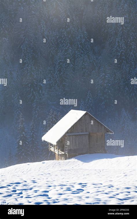 an old log cabin in a snow covered winter landscape Stock Photo - Alamy