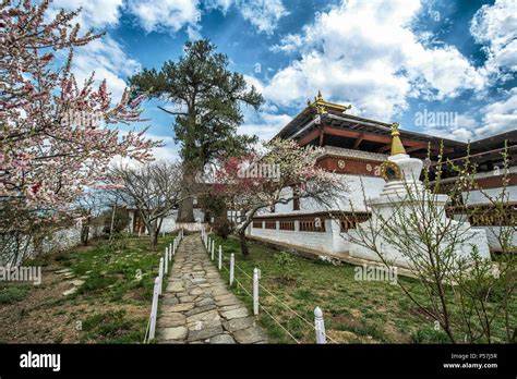 Buddhist temple Kyichu Lhakhang in spring, Paro, Paro district ...