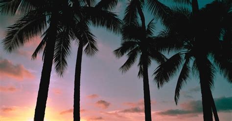 Where to Watch the Sunset on Waikiki Beach (Updated 2024)