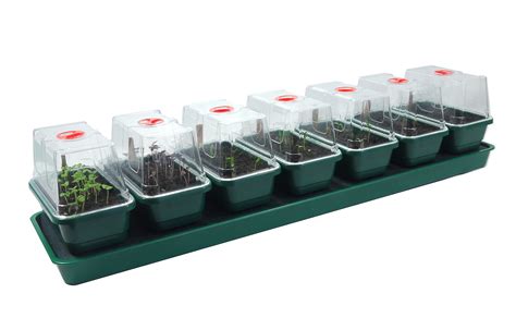 Buy Britten & James® Self Watering Propagator for s with Reservoir Tray ...