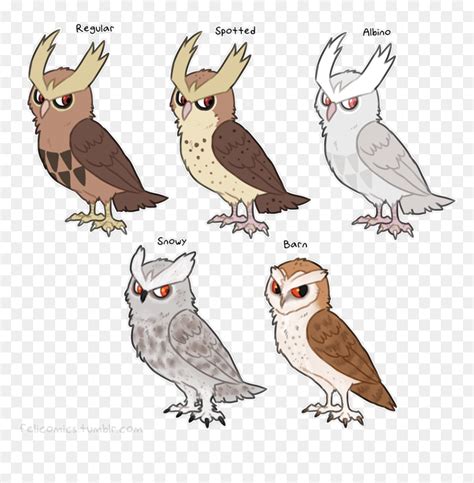 Noctowl Variations , Png Download - Pokemon Drawing Noctowl ...