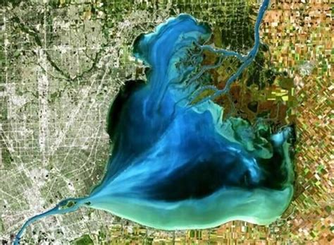 Satellite Image Of Lake St. Clair: EOSDA Gallery