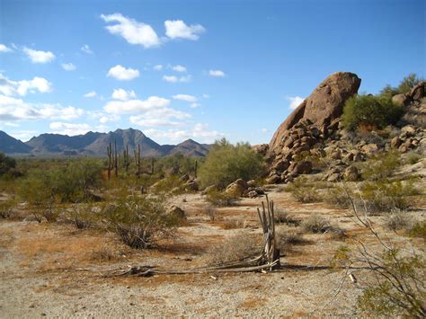 File:Sonoran Desert 33.081359 n112.431507.JPG - Wikipedia